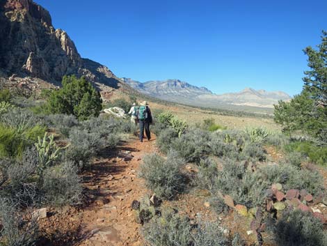 Arnight Trail