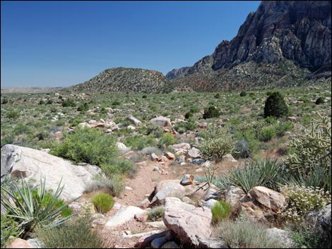 Escarpment Route