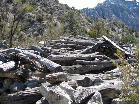 La Madre Miner's Cabin