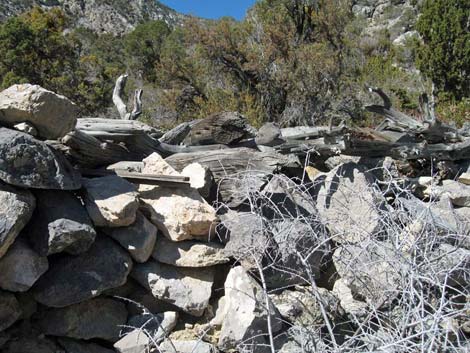 La Madre Miner's Cabin