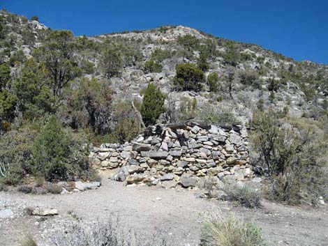 La Madre Miner's Cabin