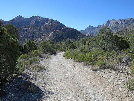 White Rock Loop Trail