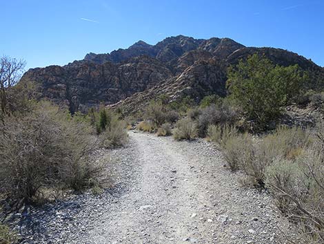 White Rock Loop Trail