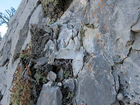 Carole Lombard Crash Site