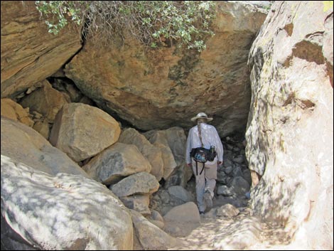 Lower Lost Creek Falls Trail