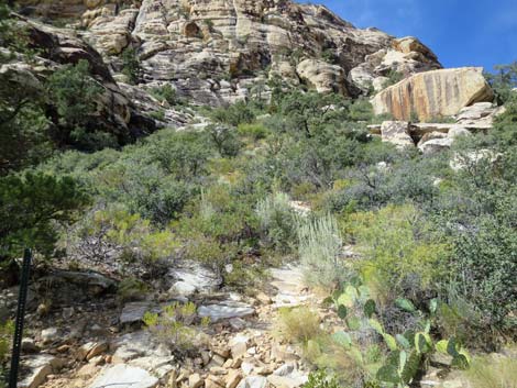 Upper Lost Creek Falls