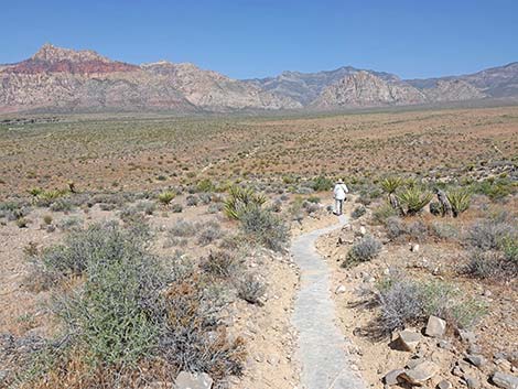 Hiking Around Las Vegas, Red Rock Canyon NCA, Moenkopi Trail