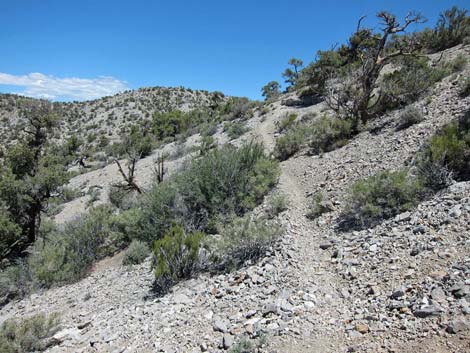 Mountain Spring Peak Route