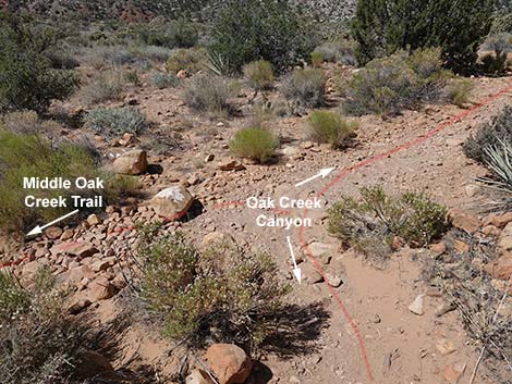 Oak Creek Canyon Trail 