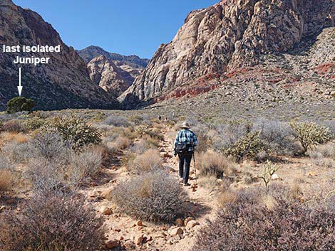 Oak Creek Canyon Trail