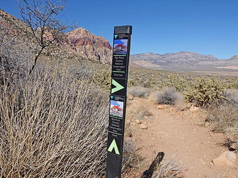 Oak Creek Canyon Trail