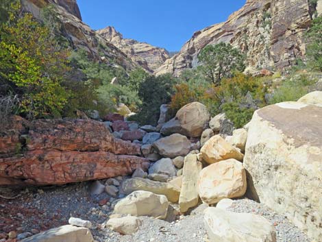 oak creek canyon