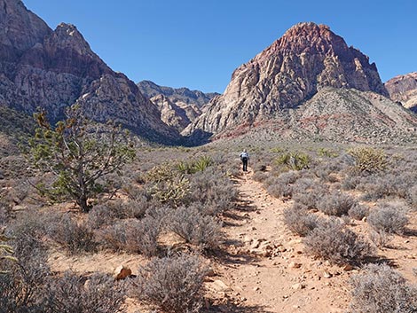 Middle Oak Creek Trail