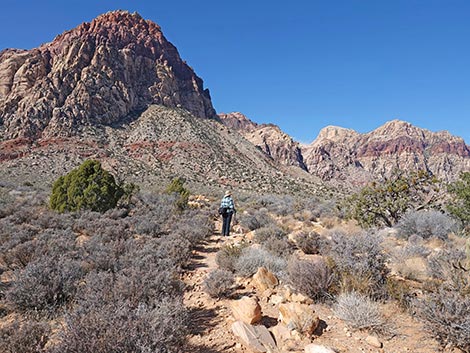 Middle Oak Creek Trail