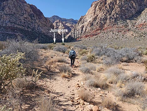 Middle Oak Creek Trail