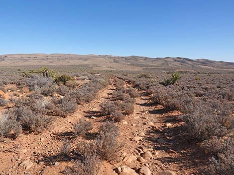 Middle Oak Creek Trail