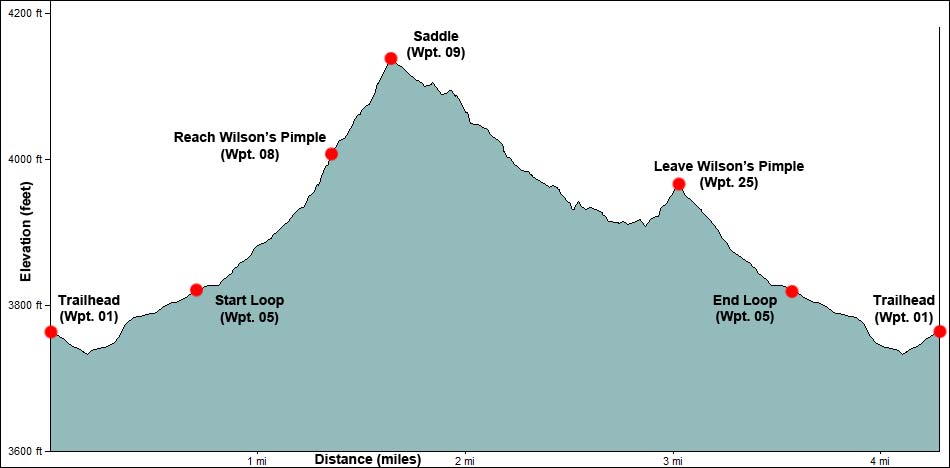 Wilson's Pimple Loop Elevation Profile