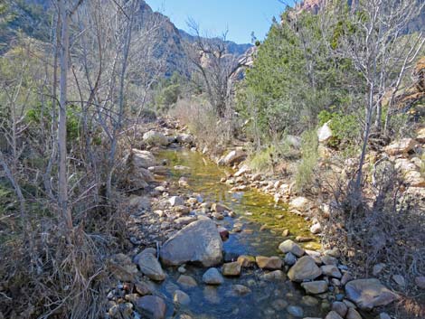 South Oak Creek Trail