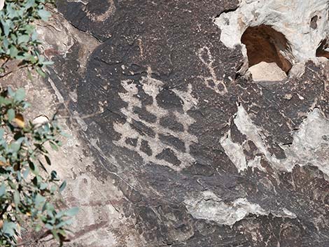 Petroglyph Wall Trail