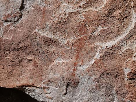 Petroglyph Wall Trail