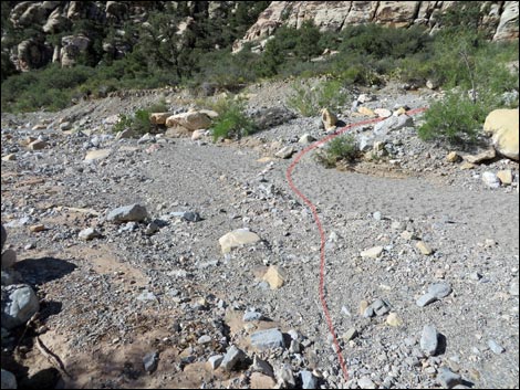 Petroglyph Wall Trail