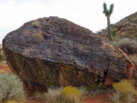 Red Rock Canyon NCA