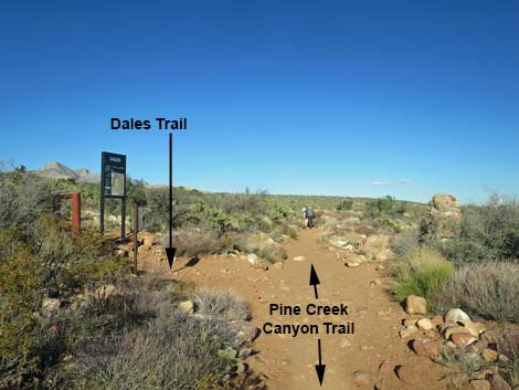 Pine Creek Canyon Trail