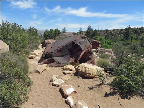 Pine Creek Trail