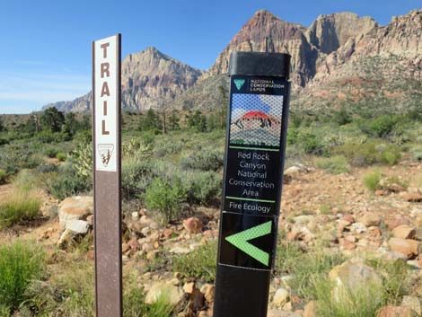 Pine Creek Canyon Trail