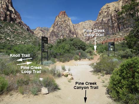 Pine Creek Canyon Trail