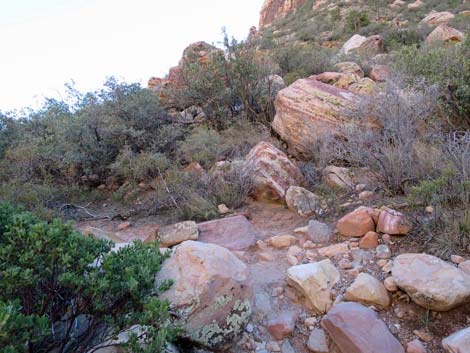 Pine Creek Trail