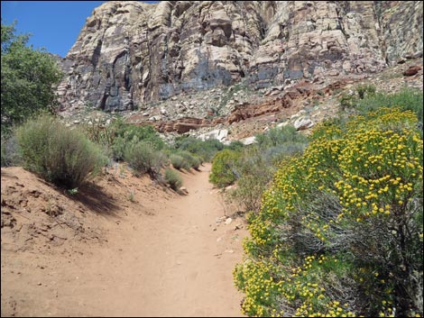 Pine Creek Trail