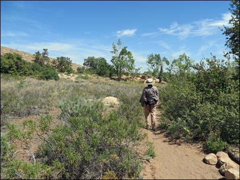 Pine Creek Trail