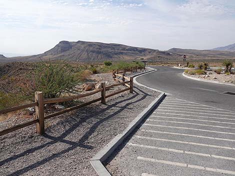 Ride Share Deluxe Loop Trail