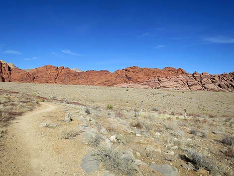 Ride Share Deluxe Loop Trail