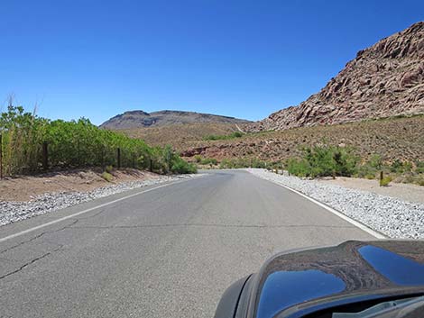 Calico Basin Road