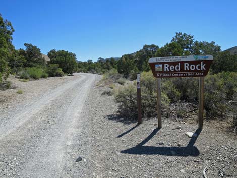 Rainbow Spring Road