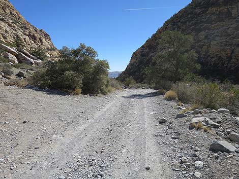 White Rock Loop Trail