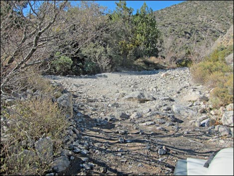 Rocky Gap Road