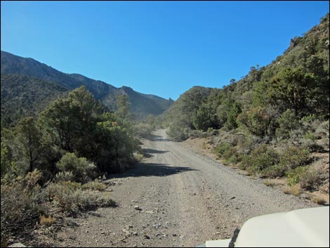 Rocky Gap Road