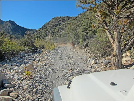 Rocky Gap Road