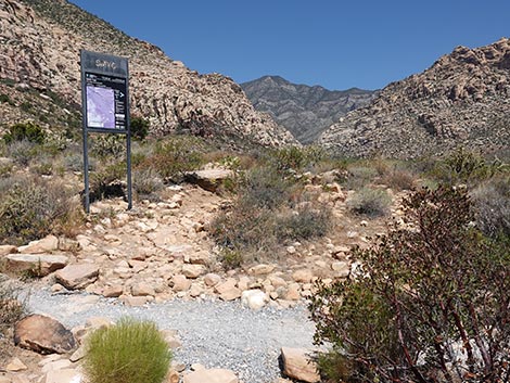 SMYC Trail