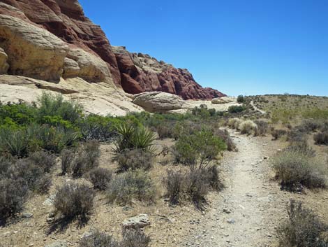 Calico Hills Trail - Sandstone Quarry to Calico 1