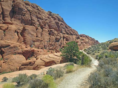 Calico Hills Trail - Sandstone Quarry to Calico 1