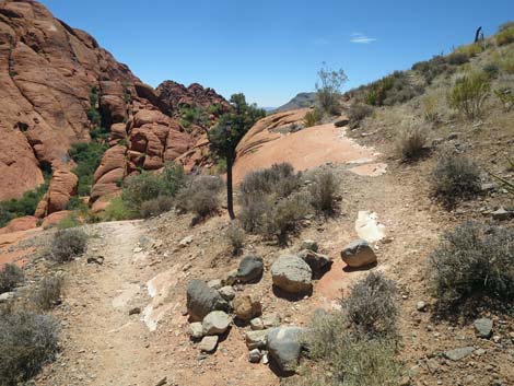 Calico Hills Trail - Sandstone Quarry to Calico 1