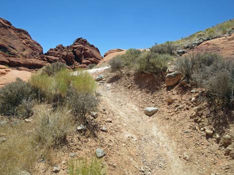 Calico Hills Trail - Sandstone Quarry to Calico 1