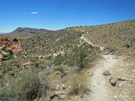 Calico Hills Trail - Sandstone Quarry to Calico 1