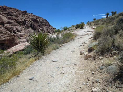 Calico Hills Trail - Sandstone Quarry to Calico 1