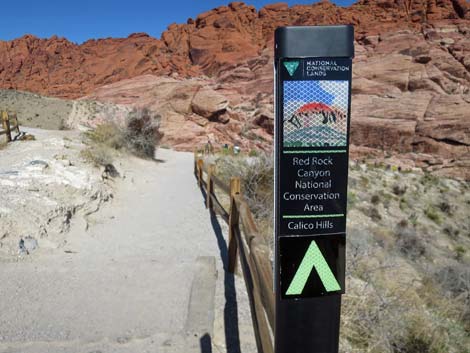 Calico Hills 1 Trailhead