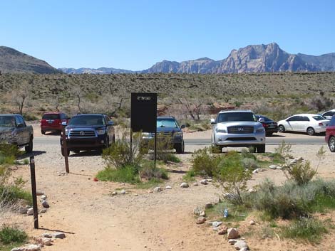 Genes Trailhead